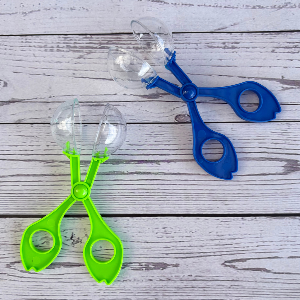 Scissor Scoops